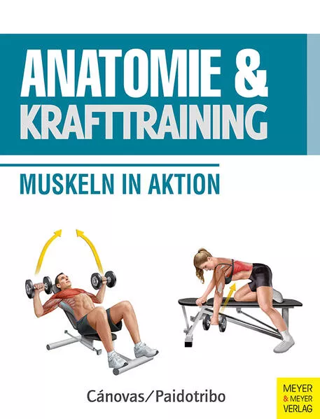 Cover: Anatomie & Krafttraining