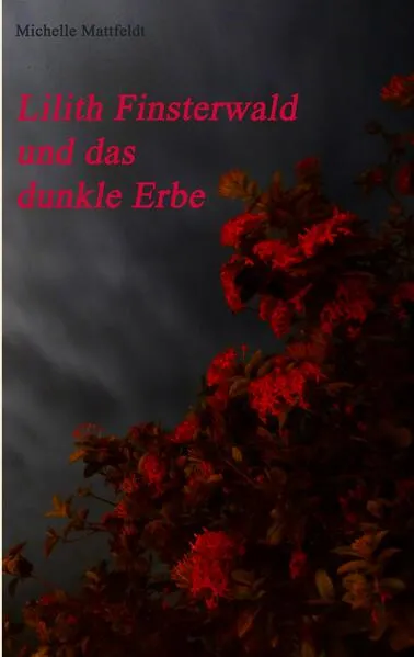 Cover: Lilith Finsterwald und das dunkle Erbe
