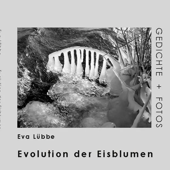 Cover: Evolution der Eisblumen