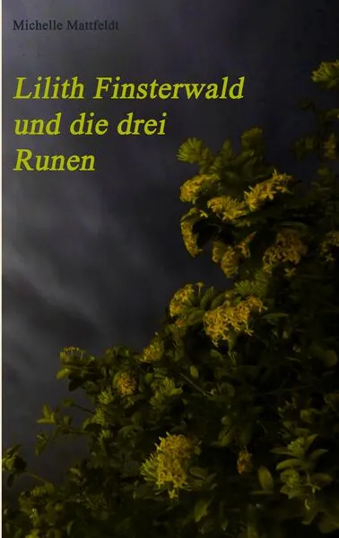 Cover: Lilith Finsterwald und die drei Runen
