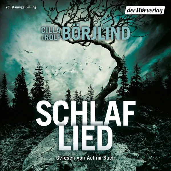 Cover: Schlaflied (Springflut 4)