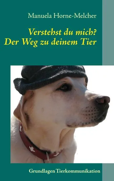 Cover: Verstehst du mich? Der Weg zu deinem Tier