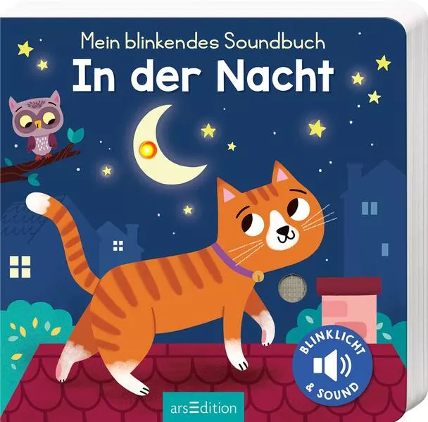 Cover: Mein blinkendes Soundbuch – In der Nacht