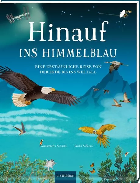 Cover: Hinauf ins Himmelblau