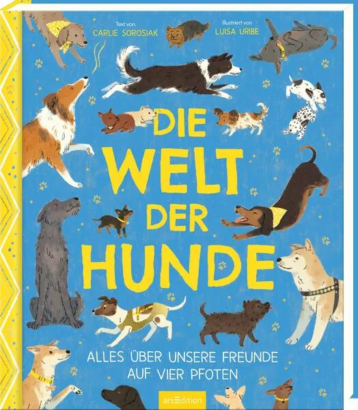 Cover: Die Welt der Hunde