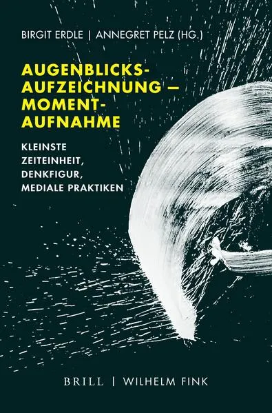 Augenblicksaufzeichnung -- Momentaufnahme