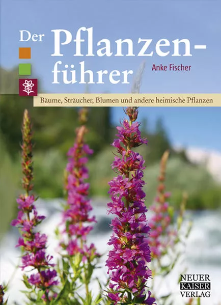Cover: Der Pflanzenführer