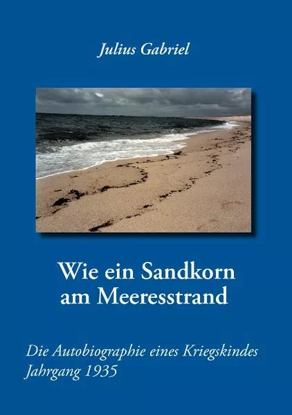 Cover: Wie ein Sandkorn am Meeresstrand