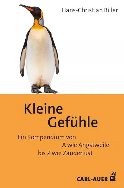 Cover: Kleine Gefühle