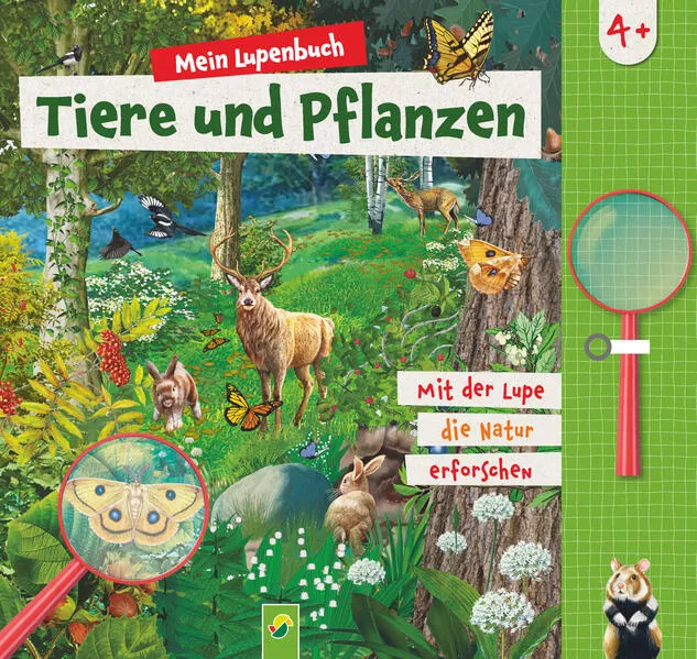 Mein Lupenbuch Tiere und Pflanzen</a>