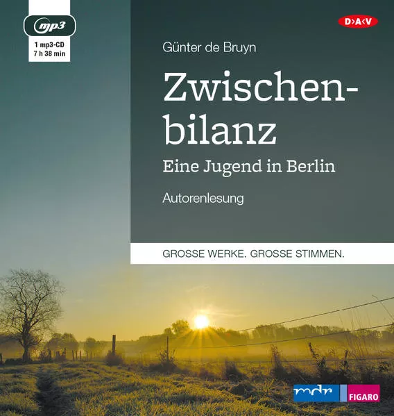 Cover: Zwischenbilanz. Eine Jugend in Berlin