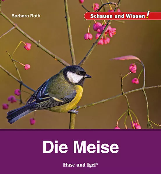 Cover: Die Meise