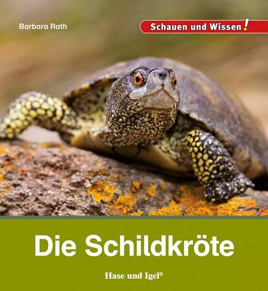Cover: Die Schildkröte
