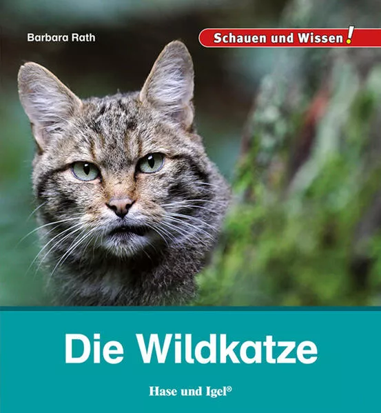 Cover: Die Wildkatze