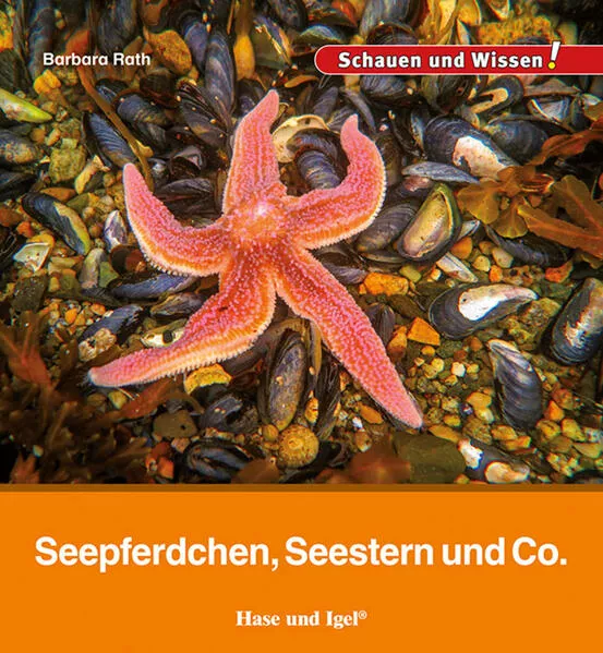 Cover: Seepferdchen, Seestern und Co.