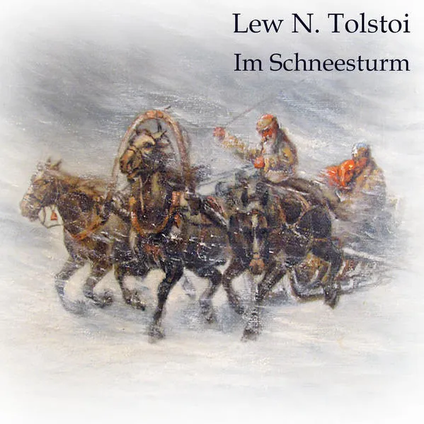 Cover: Im Schneesturm