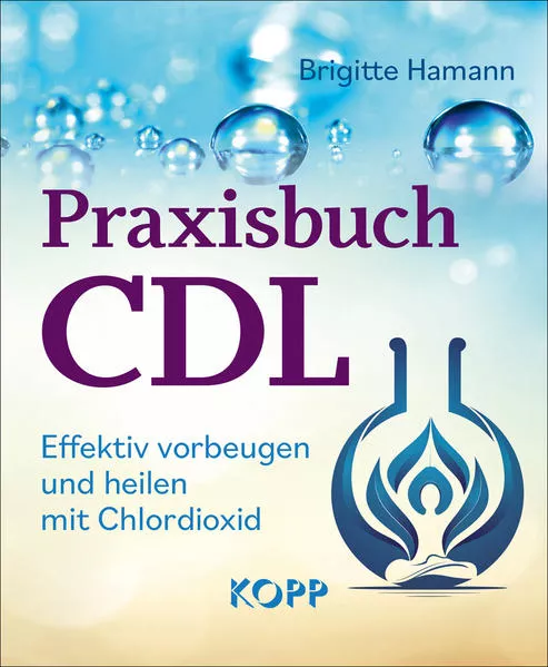 Cover: Praxisbuch CDL