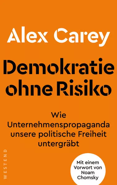 Cover: Demokratie ohne Risiko