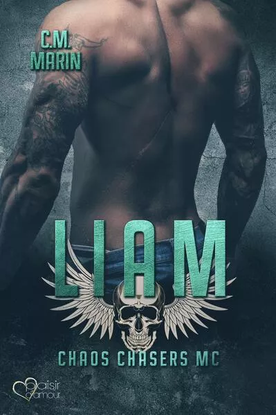 The Chaos Chasers MC: Liam</a>