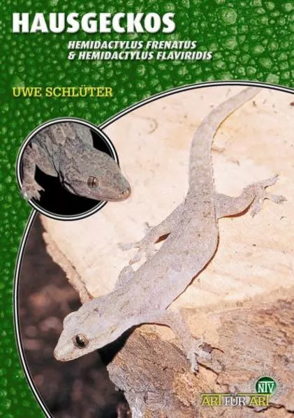 Cover: Hausgeckos