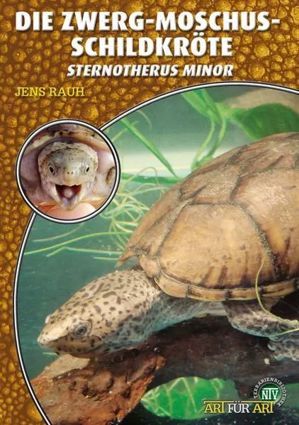 Cover: Die Zwerg-Moschusschildkröte