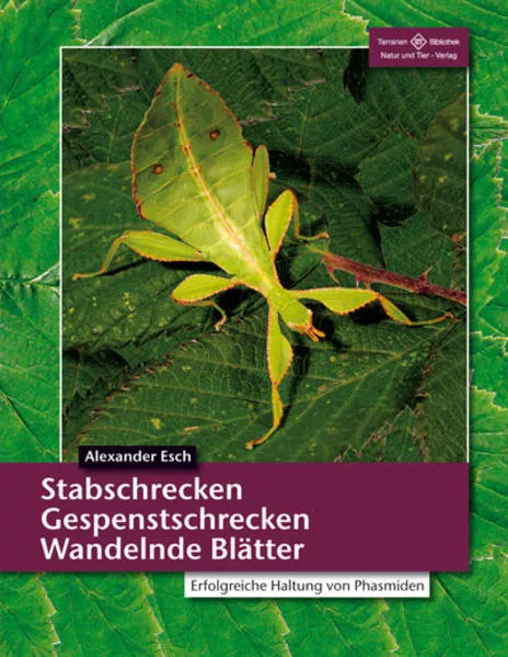 Stabschrecken, Gespenstschrecken, Wandelnde Blätter