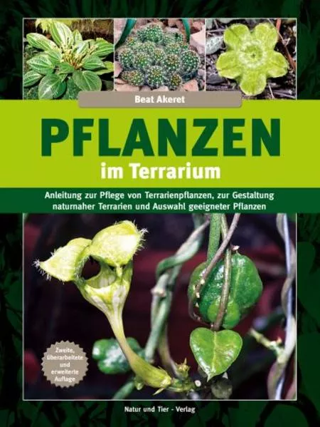 Cover: Pflanzen im Terrarium