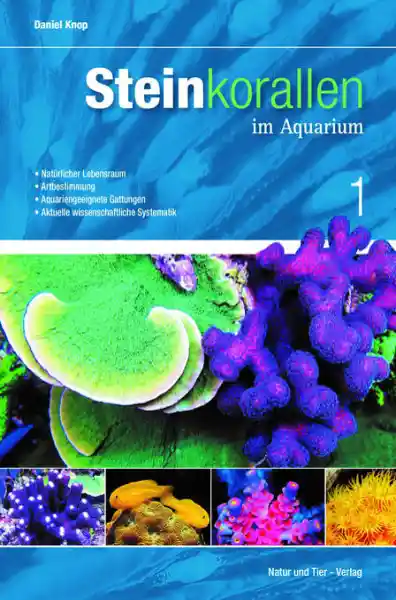 Cover: Steinkorallen im Aquarium - Band 1