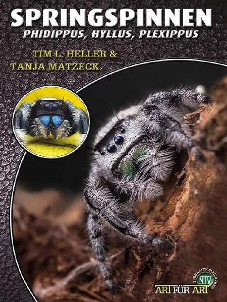 Cover: Springspinnen