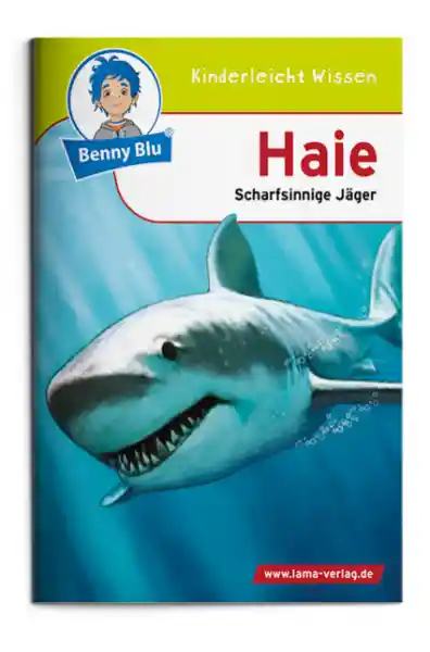 Cover: Benny Blu - Haie