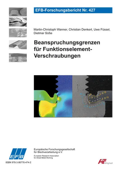 Cover: Beanspruchungsgrenzen für Funktionselement-Verschraubungen