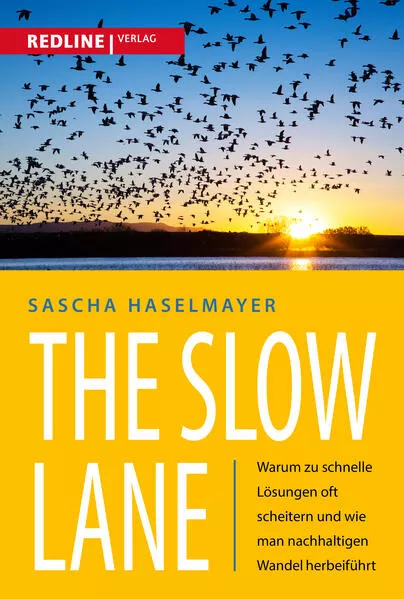 Cover: The Slow Lane