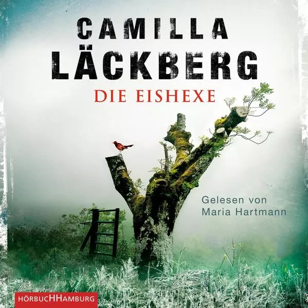Cover: Die Eishexe (Ein Falck-Hedström-Krimi 10)