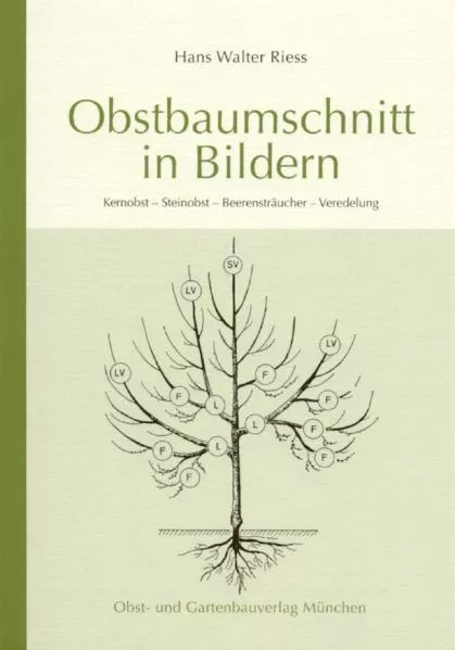 Cover: Obstbaumschnitt in Bildern