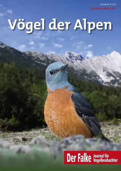 Cover: Vögel der Alpen