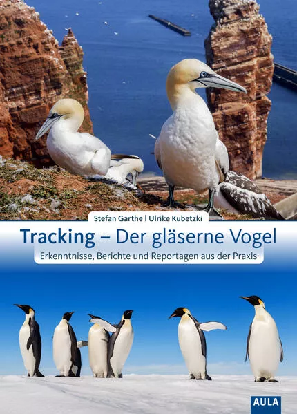 Cover: Tracking – Der gläserne Vogel