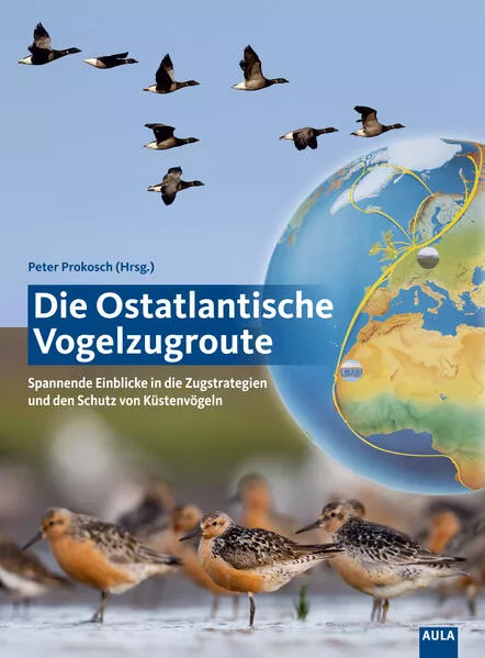 Cover: Die Ostatlantische Vogelzugroute