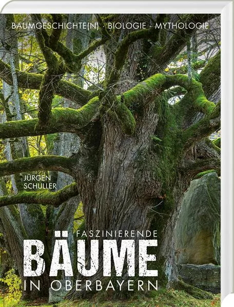 Cover: Faszinierende Bäume in Oberbayern