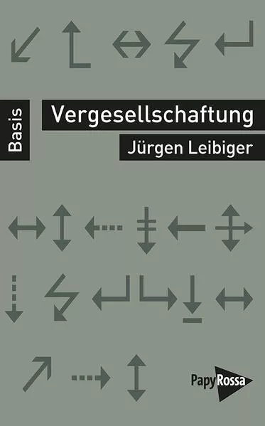 Cover: Vergesellschaftung