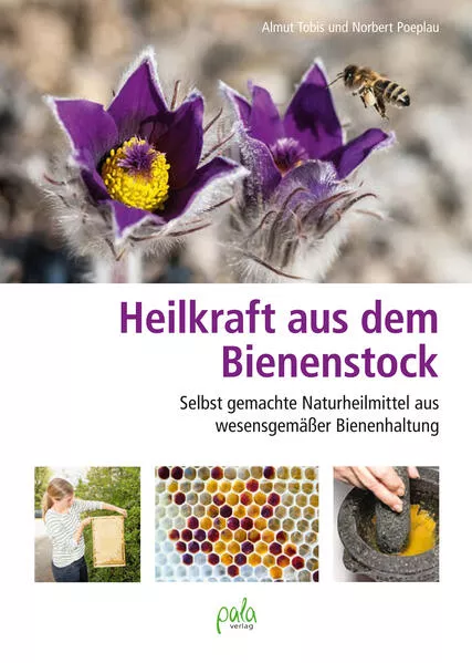 Cover: Heilkraft aus dem Bienenstock
