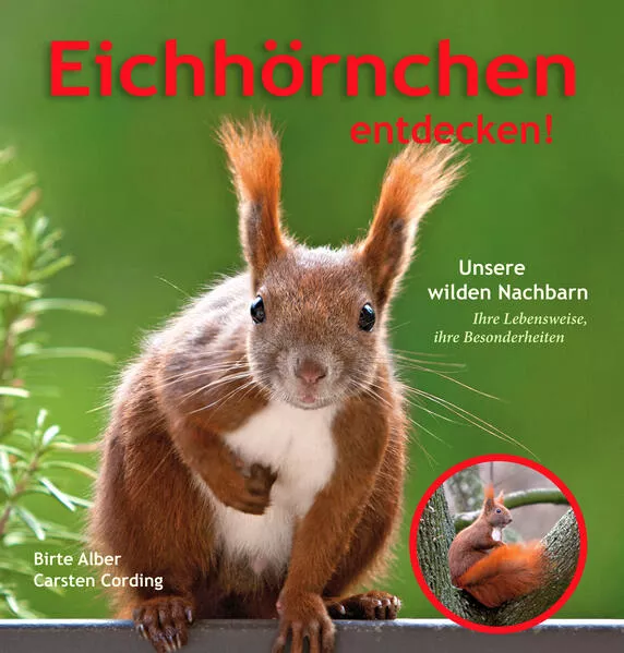 Cover: Eichhörnchen entdecken!