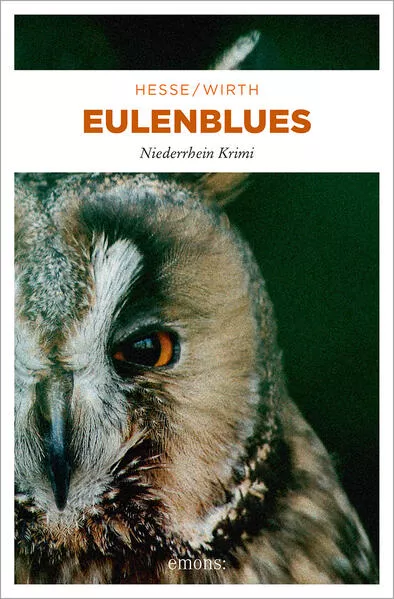 Cover: Eulenblues