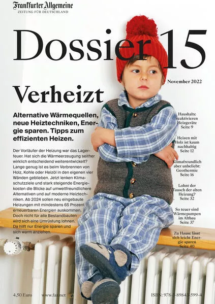 Cover: Verheizt