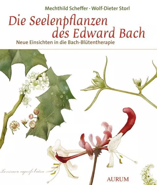 Cover: Die Seelenpflanzen des Edward Bach