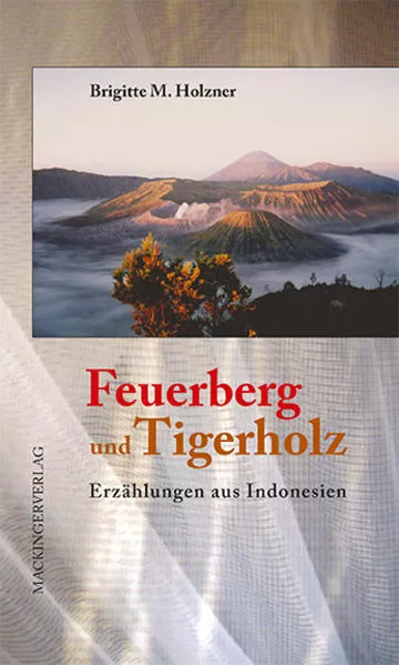 Cover: Feuerberg und Tigerholz