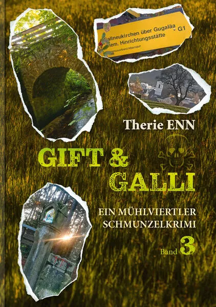 Cover: Gift und Galli