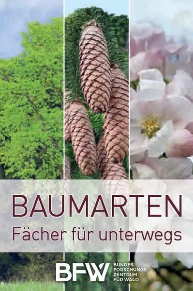 Cover: Baumarten