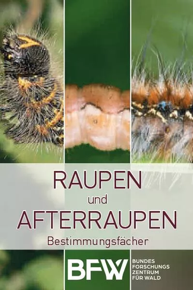 Cover: Raupen und Afterraupen
