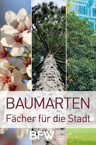 Baumarten