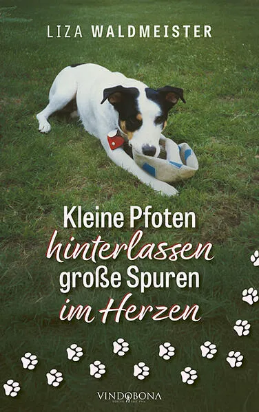 Kleine Pfoten hinterlassen große Spuren im Herzen